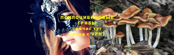 каннабис Алексин