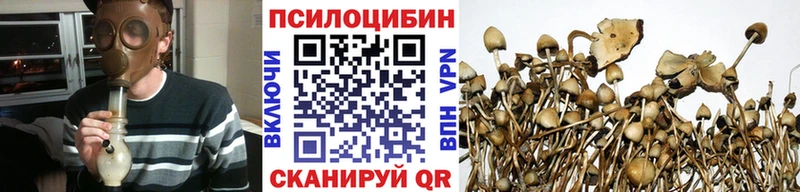 где можно купить наркотик  kraken как войти  Псилоцибиновые грибы ЛСД  Шадринск 