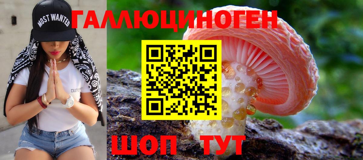 Галлюциногенные грибы Cubensis  Вход с VPN  Шадринск 